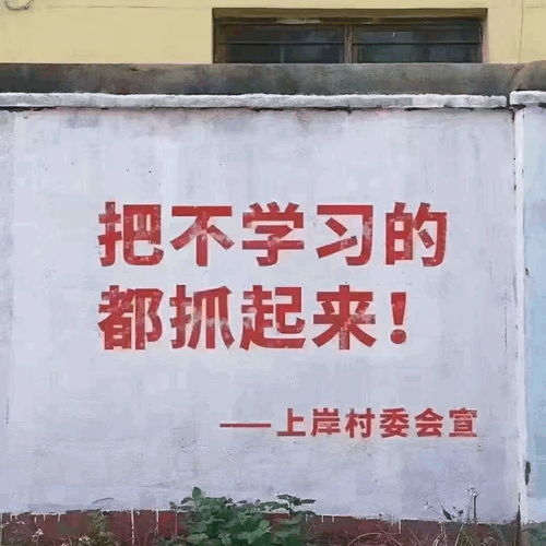  真假推理做题慢,巧解了解一下