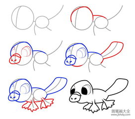  动物简笔画教程鸭嘴兽简笔画步骤图