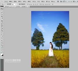  photoshop调出人像外景秋季淡黄色调教程