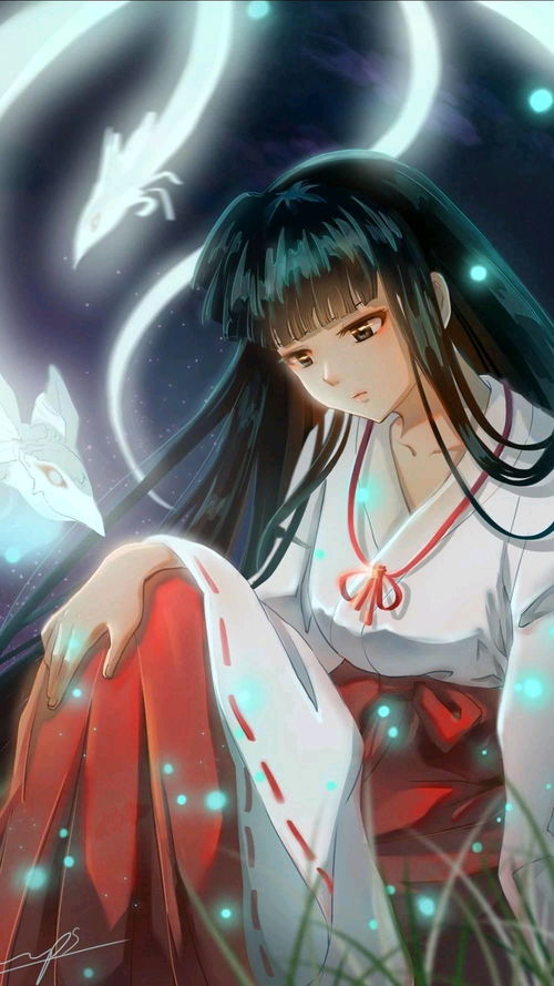  专栏
