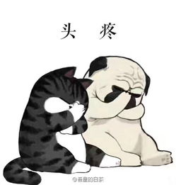 福瑞头像微信