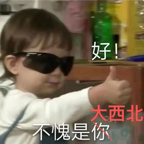  我回甘肃了好吃的不止天水麻辣烫啊
