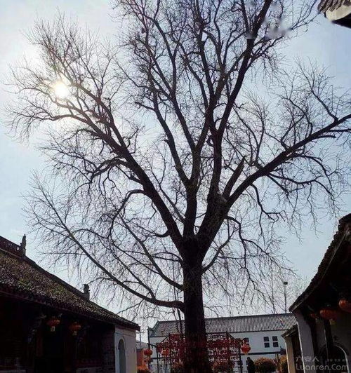  全程要戴口罩今明两天去六安这个热闹地方的人注意啦