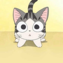  我的歌声里