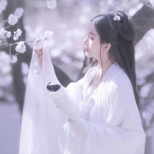  一对欢喜冤家如何恋爱神偷傻妃告诉你答案