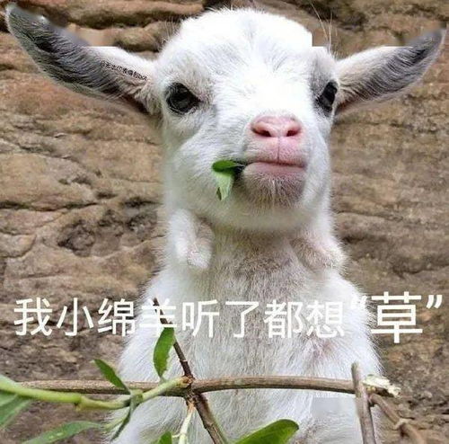  有请2021第一位全能营销鬼才登场