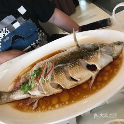 狼尾鲻鱼头像擦地
