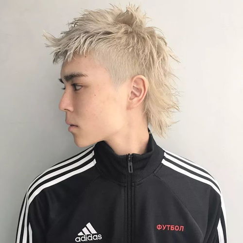  发型欣赏潮男鱼窝头发型