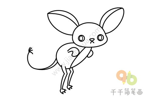  长耳跳鼠简笔画
