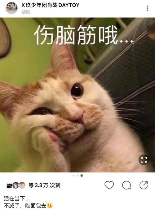 张艺兴动漫卡通头像肖战
