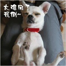  正品七频金钱豹按摩棒爱世界av刺激阴蒂情趣用品女性自慰成人用品