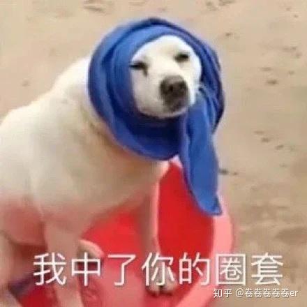  这几天你被上海名媛3群刷屏了嘛可能是假的