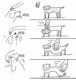  11幅极其精准的漫画,猫狗绝对来自不同星球