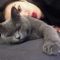  女生和猫咪唯美图片唯美可爱女孩和猫咪图片