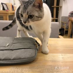  电话,地址,价格,营业时间