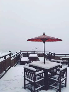  下个假期就去民宿看雪一份雪景种草清单,不在被窝里看雪就是浪费冬天啊