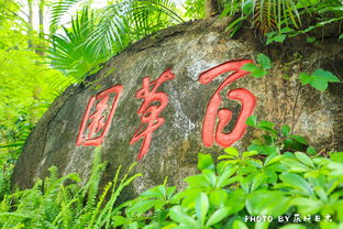  伸手就是碧海蓝天,惠州周边超美海滩攻略在这里,五一走起