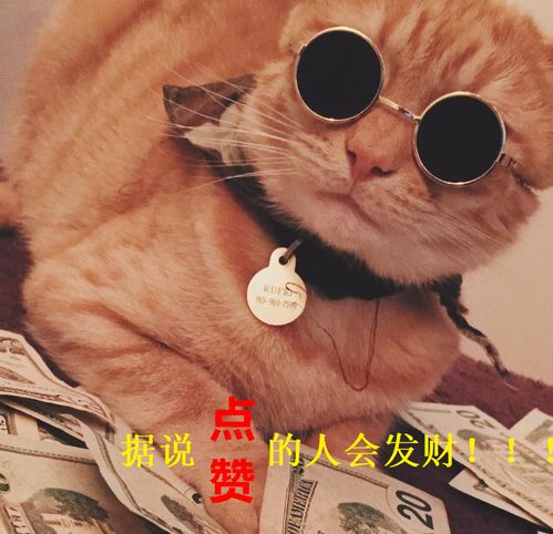 2025年年招财好运头像生
