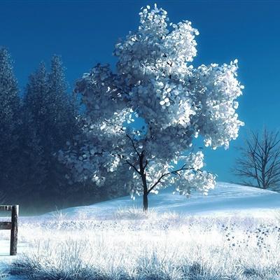雪景头像高清开发