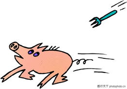  野生动物2030