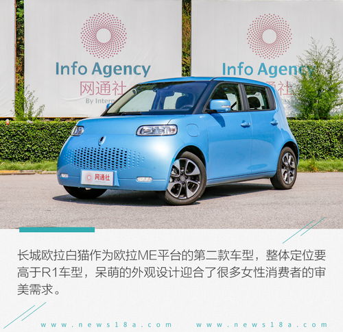  撩妹神器再进化欧拉白猫旗舰版测试