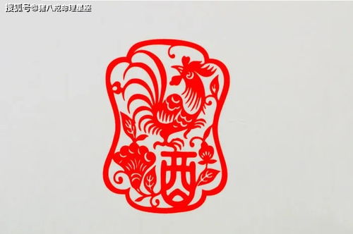  2021年这些生肖运势好,非常有钱途