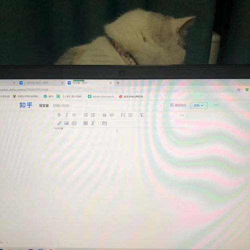  黑夜里会有那么一束光吗