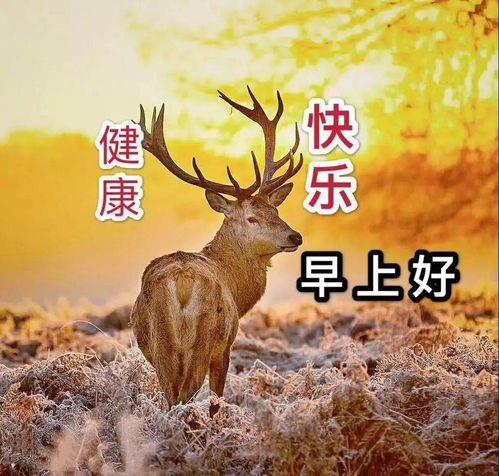  7张秋天非常好看的风景早上好图片精选唯美早安图片带字带祝福语句子