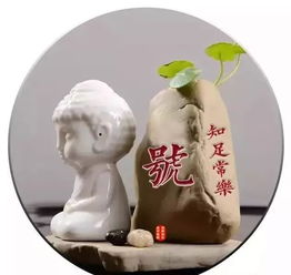 手机头像图片可爱微信你