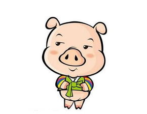  1947年属猪的人2019年运势大全及破解