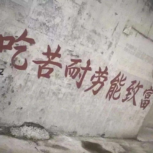  朋友圈背景图8.19