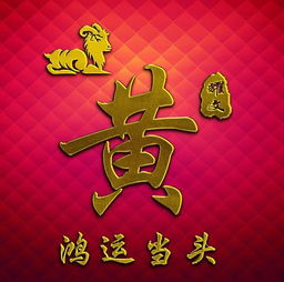  漂亮的12生肖姓氏头像,专业的金款设计,奢华尊贵款,望你喜欢