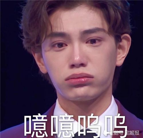  丁禹兮又上热搜,陈芊芊剧粉被全网狙击,这波操作真的太让人心凉