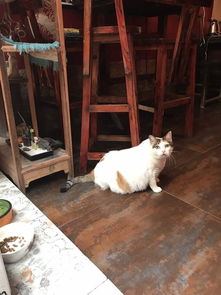  青岛游记