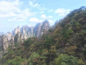  黄山风景区门票成人票911月旺季票黄山就一个字,美,难怪都说黄山归来驴妈妈点评