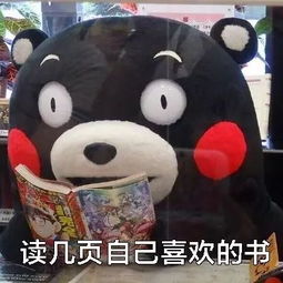熊本熊头像无字