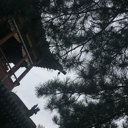  山西游记