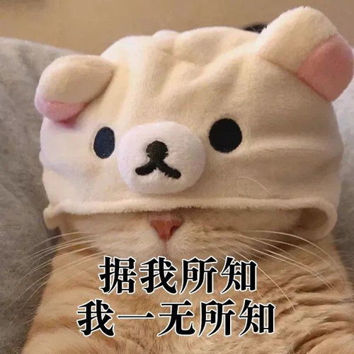  不同游戏圈子里的废话文学