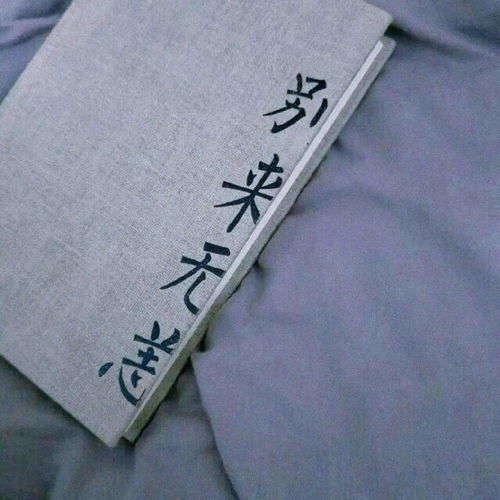  写给高考后的你火影