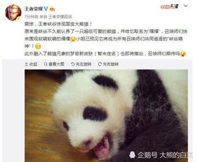  王者荣耀三周年皮肤曝光,梦奇变身大熊猫,隐藏彩蛋竟是沈梦溪
