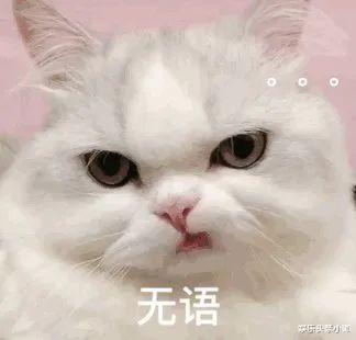  彻底凉了约会变性人,早就偷偷恋爱