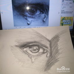  初识素描的基本要素
