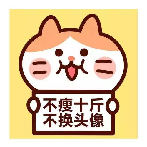 找不到合适的头像句句
