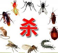  黄页88高清图片