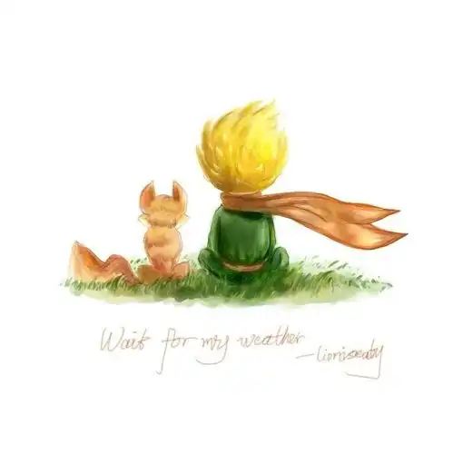  小王子里的那些话