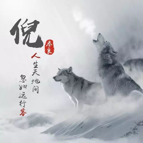 适合做头像的帅气头像姓