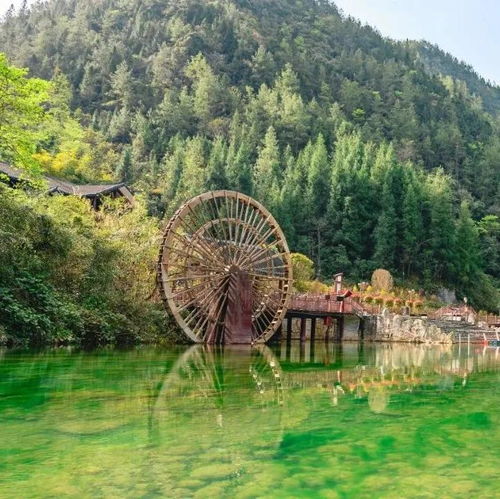  美翻了粉黛乱子草已成花海,快来巴山大峡谷收集秋日色彩