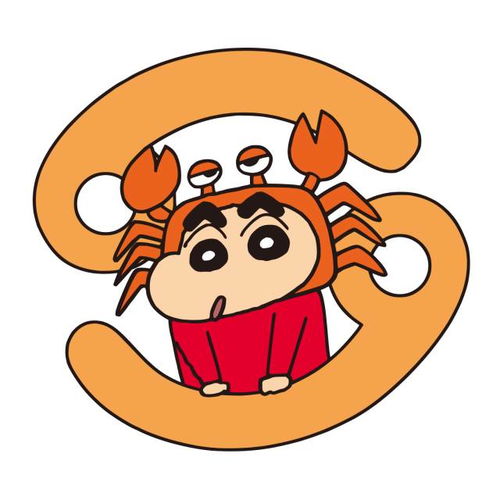  十二星座的孩子使用说明你家孩子说的准吗