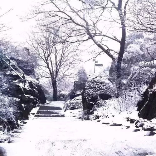  千里冰封万里雪飘