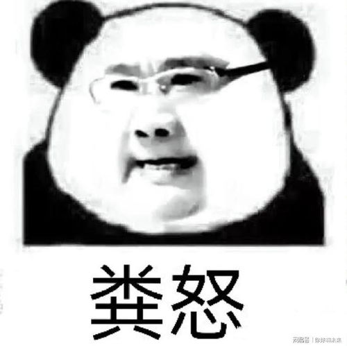 微信搞笑头像霸气名字